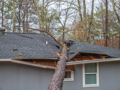 Georgia-roofing-contractor-insurance-process-3